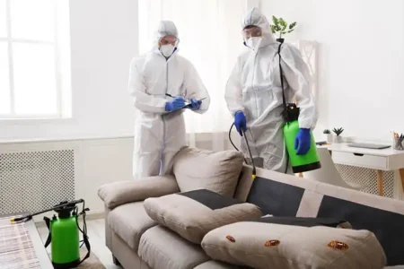 home-pest-control-1